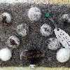 Small notice board